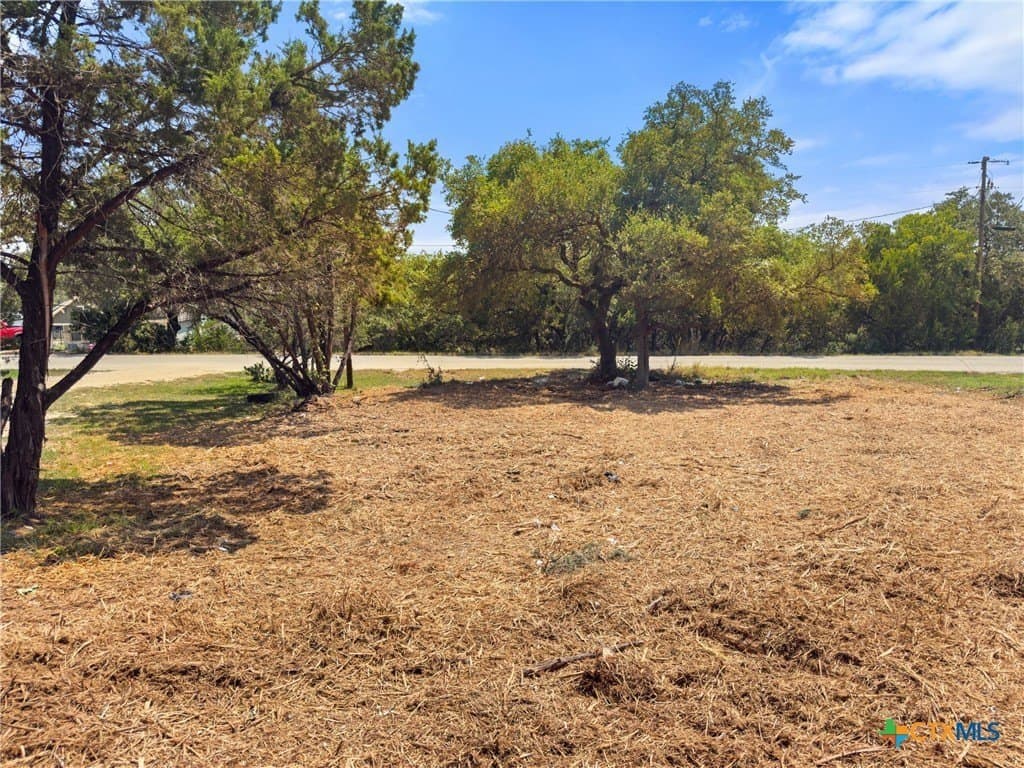 0.19 acres in Comal County - photo 9
