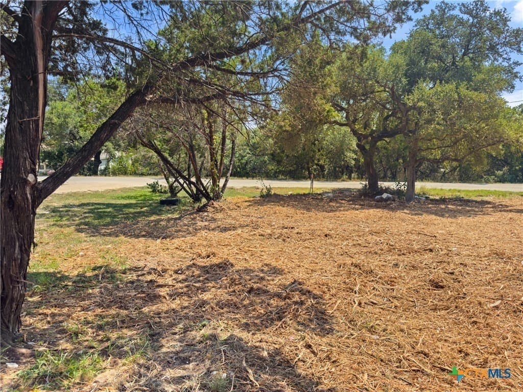 0.19 acres in Comal County - photo 6