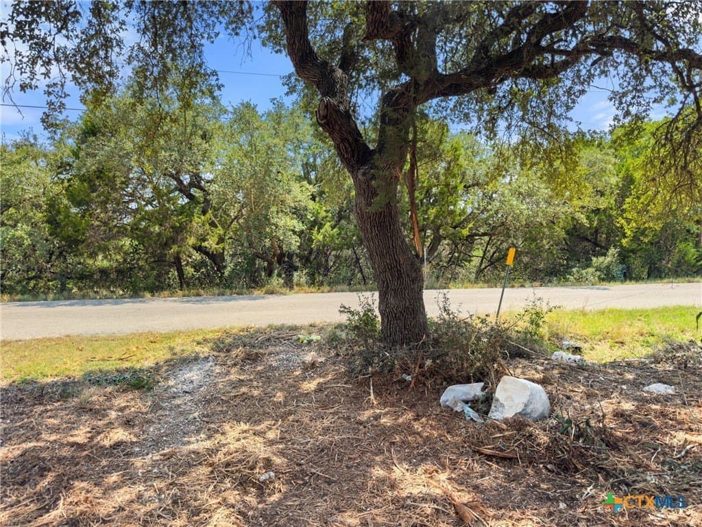 0.19 acres in Comal County - photo 12