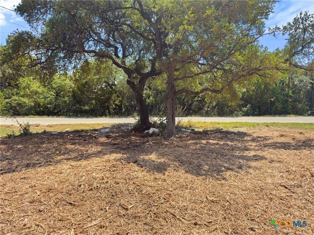 0.19 acres in Comal County - photo 5
