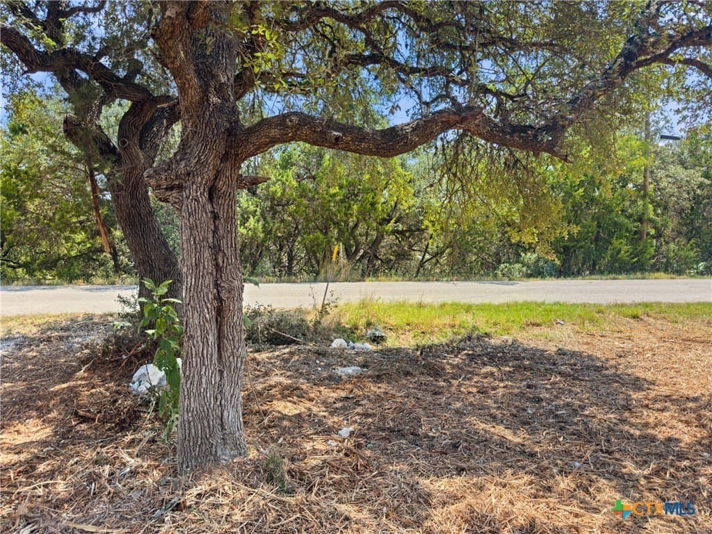 0.19 acres in Comal County - photo 2