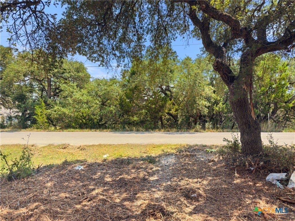 0.19 acres in Comal County - photo 3