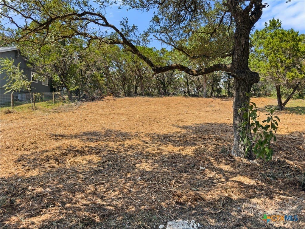 0.19 acres in Comal County - photo 13