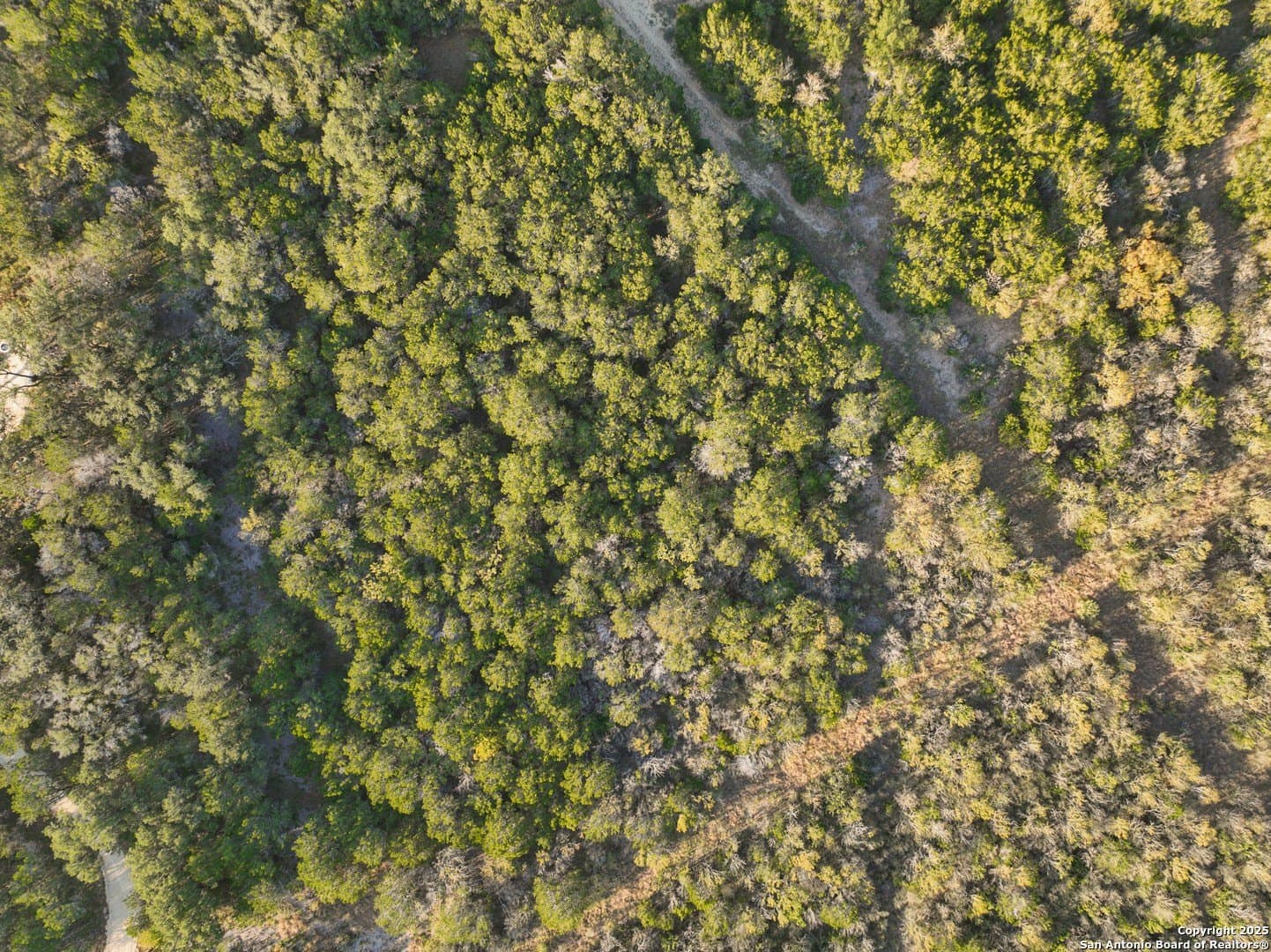 5.86 acres in Medina County - photo 14