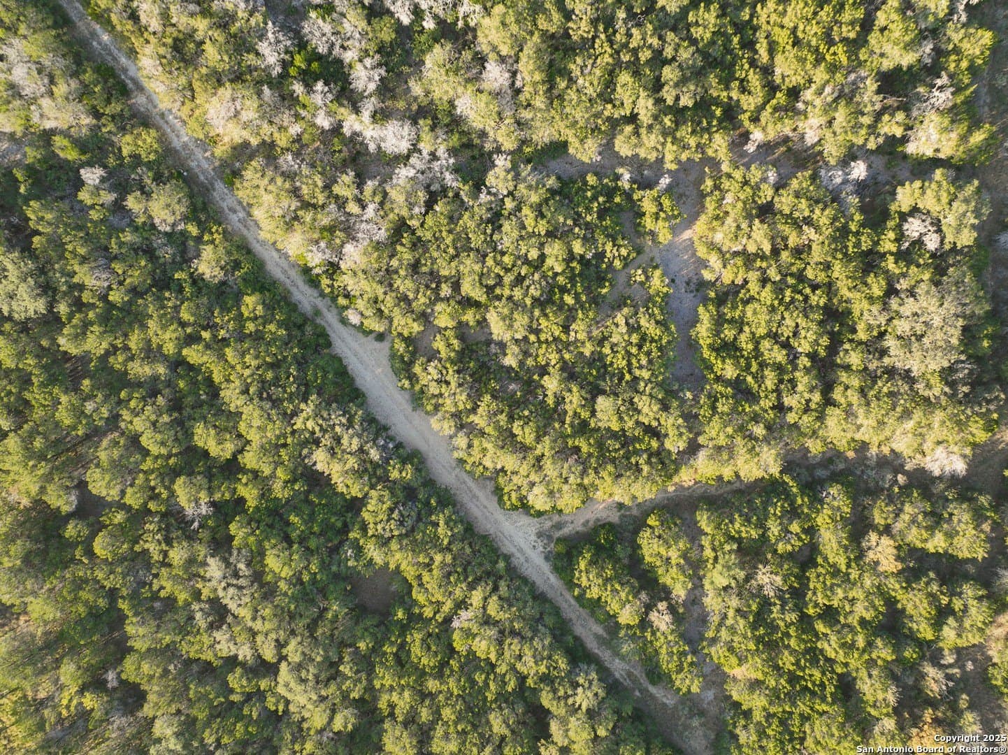 5.86 acres in Medina County - photo 13