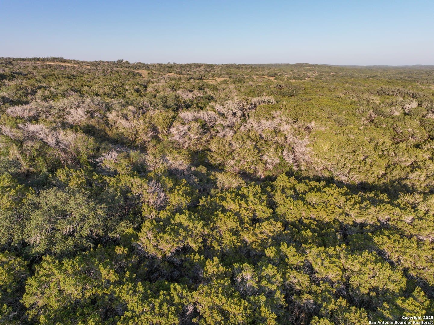 5.86 acres in Medina County - photo 24