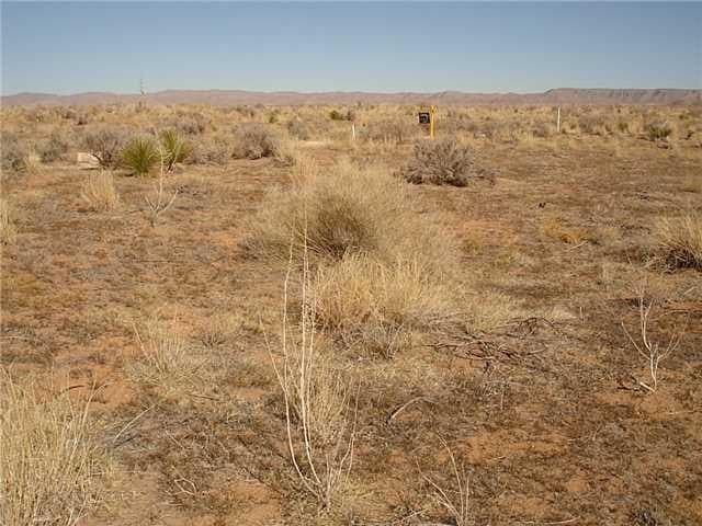 473.96 acres in Culberson County - photo 5