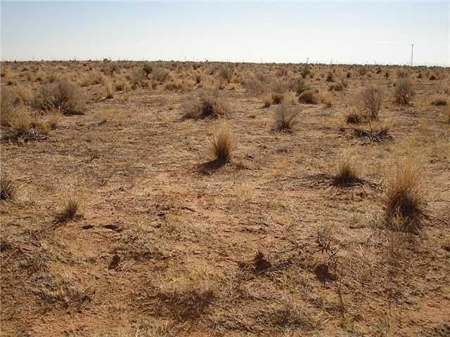 473.96 acres in Culberson County - photo 4