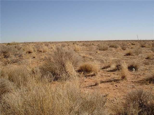473.96 acres in Culberson County - photo 6