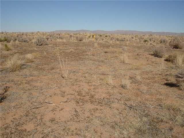 473.96 acres in Culberson County - photo 2
