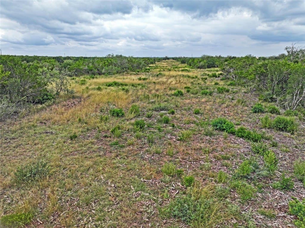 1,212 acres in Jim Wells County - photo 2