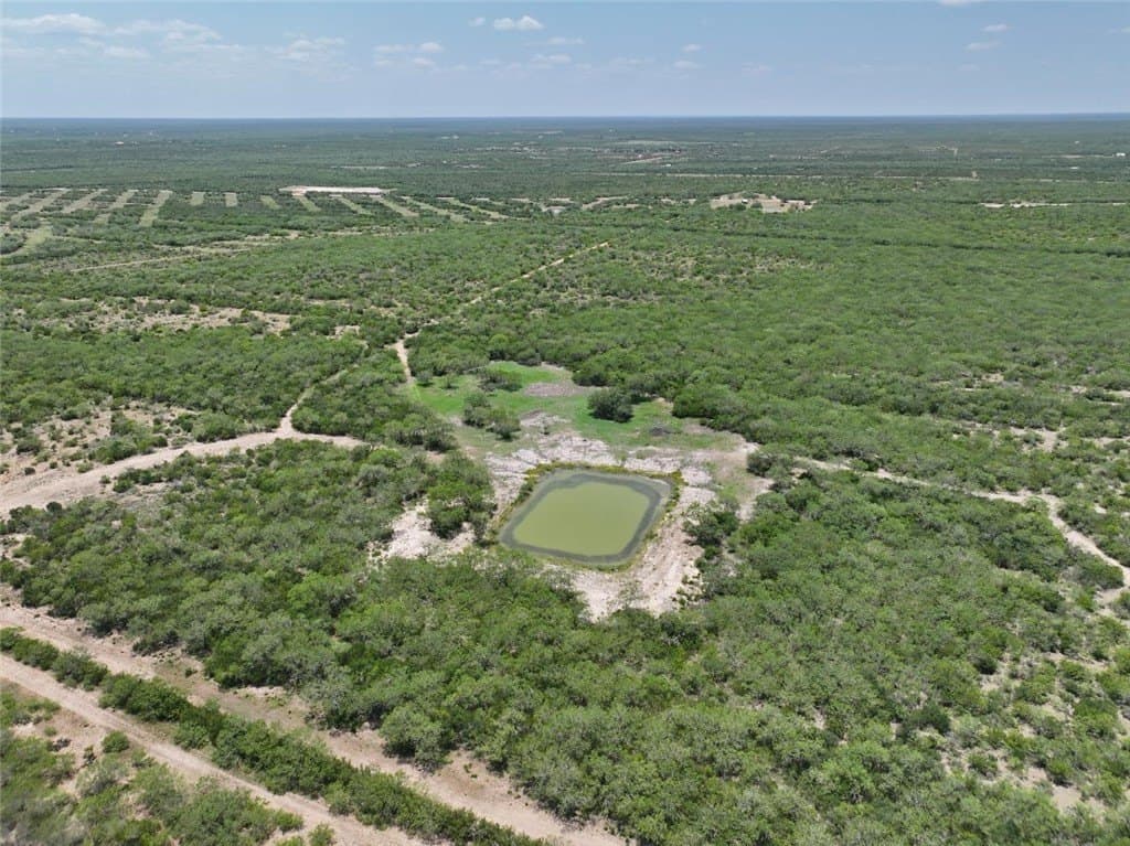 1,212 acres in Jim Wells County - photo 9