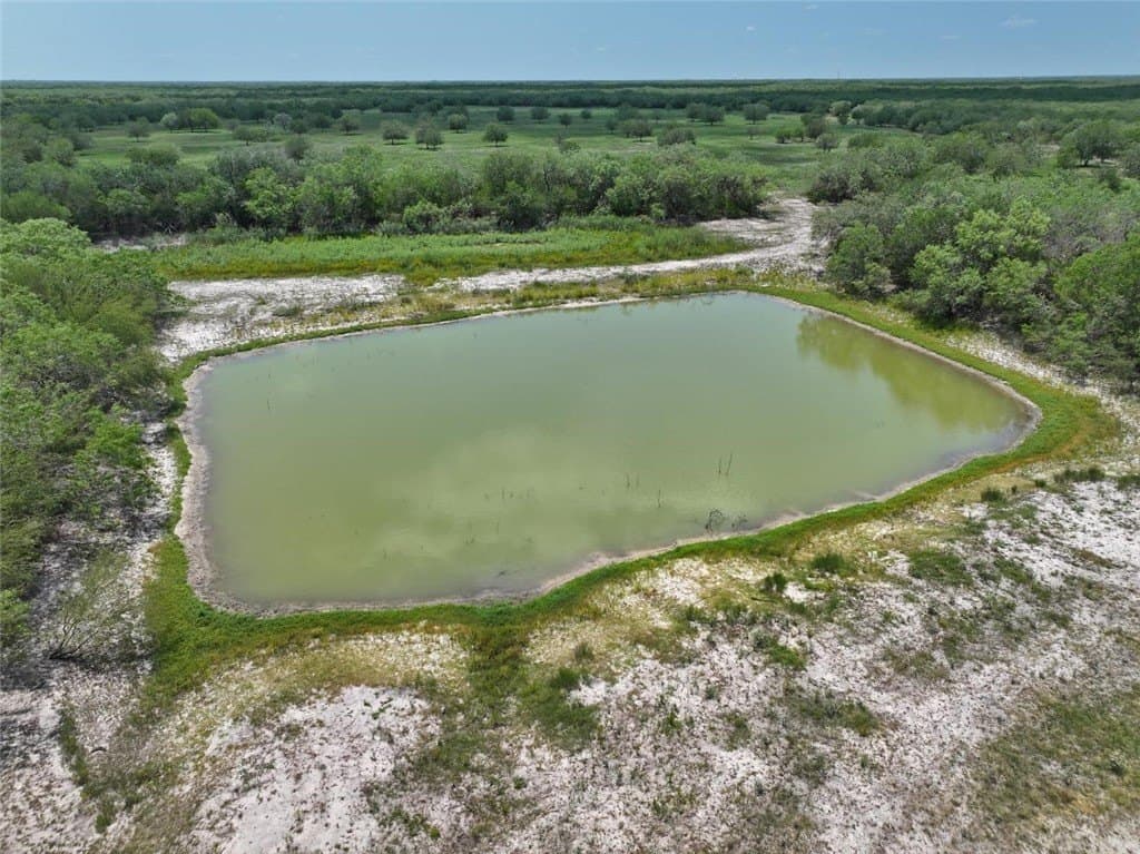 1,212 acres in Jim Wells County - photo 3