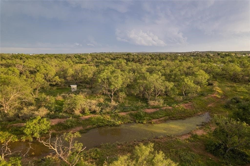 119 acres in Mason County - photo 6