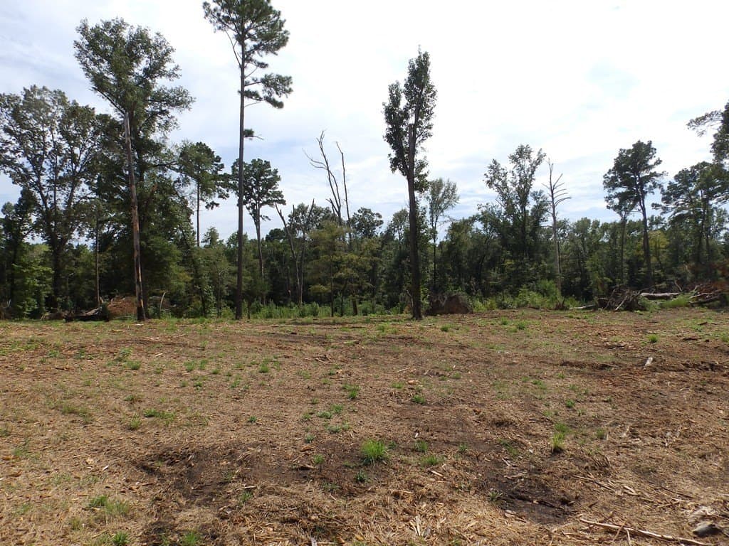 13 acres in Smith County - photo 16
