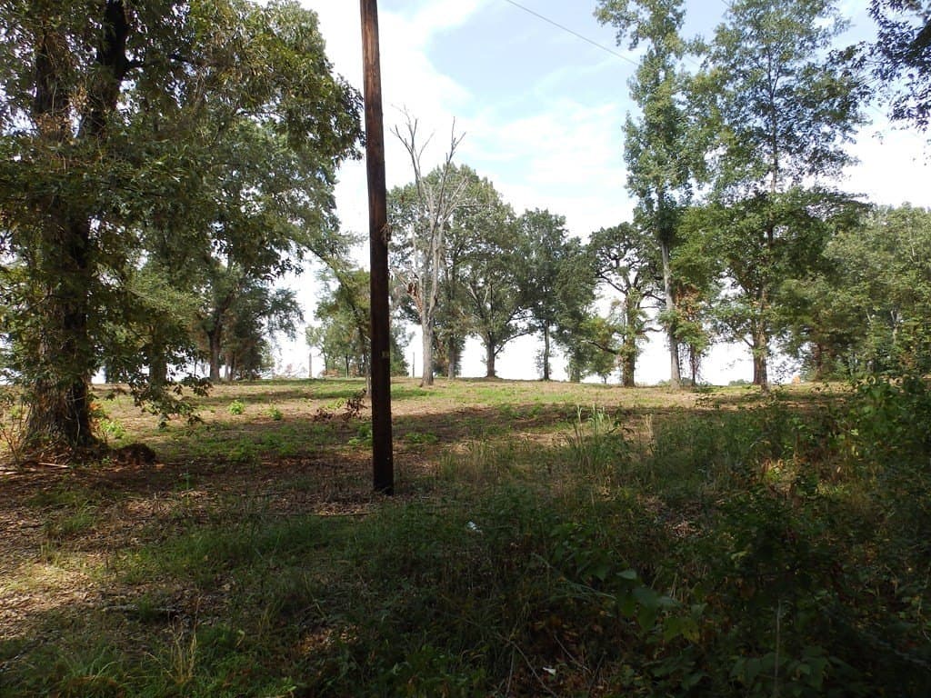 13 acres in Smith County - photo 14
