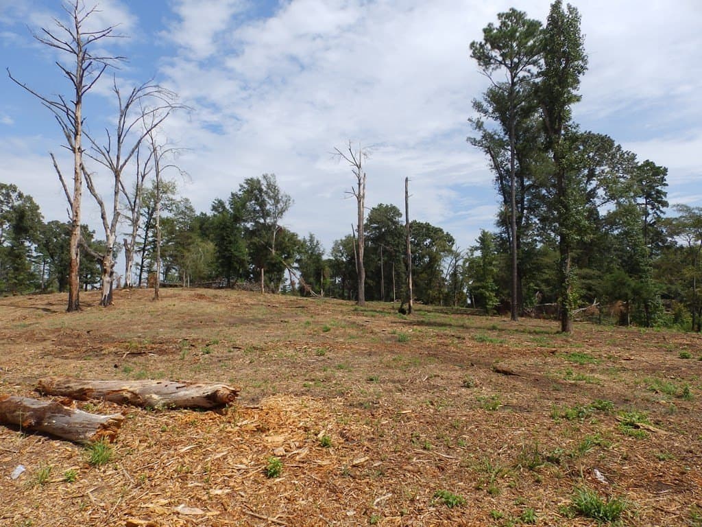 13 acres in Smith County - photo 15