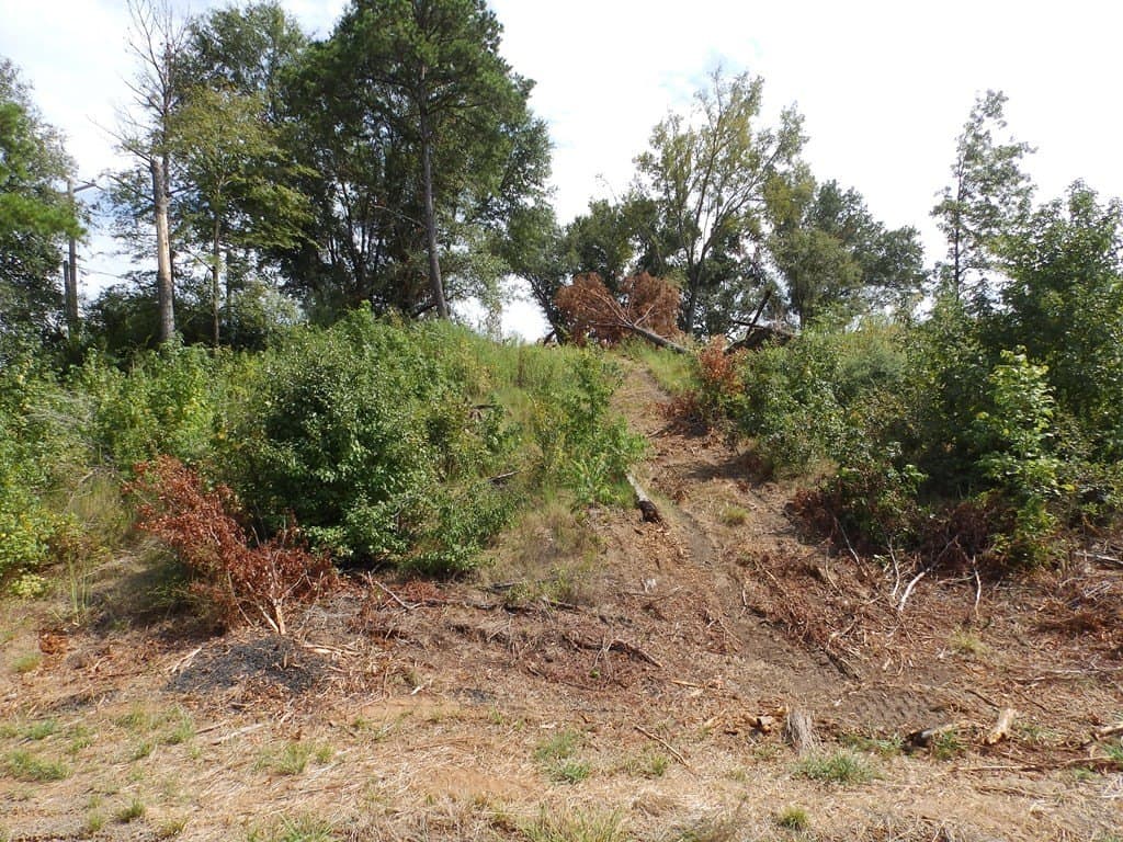 13 acres in Smith County - photo 12