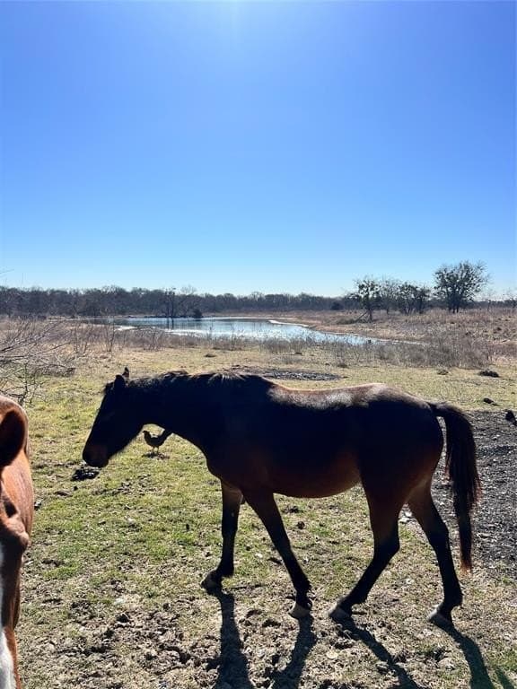 86.35 acres in Kaufman County - photo 7