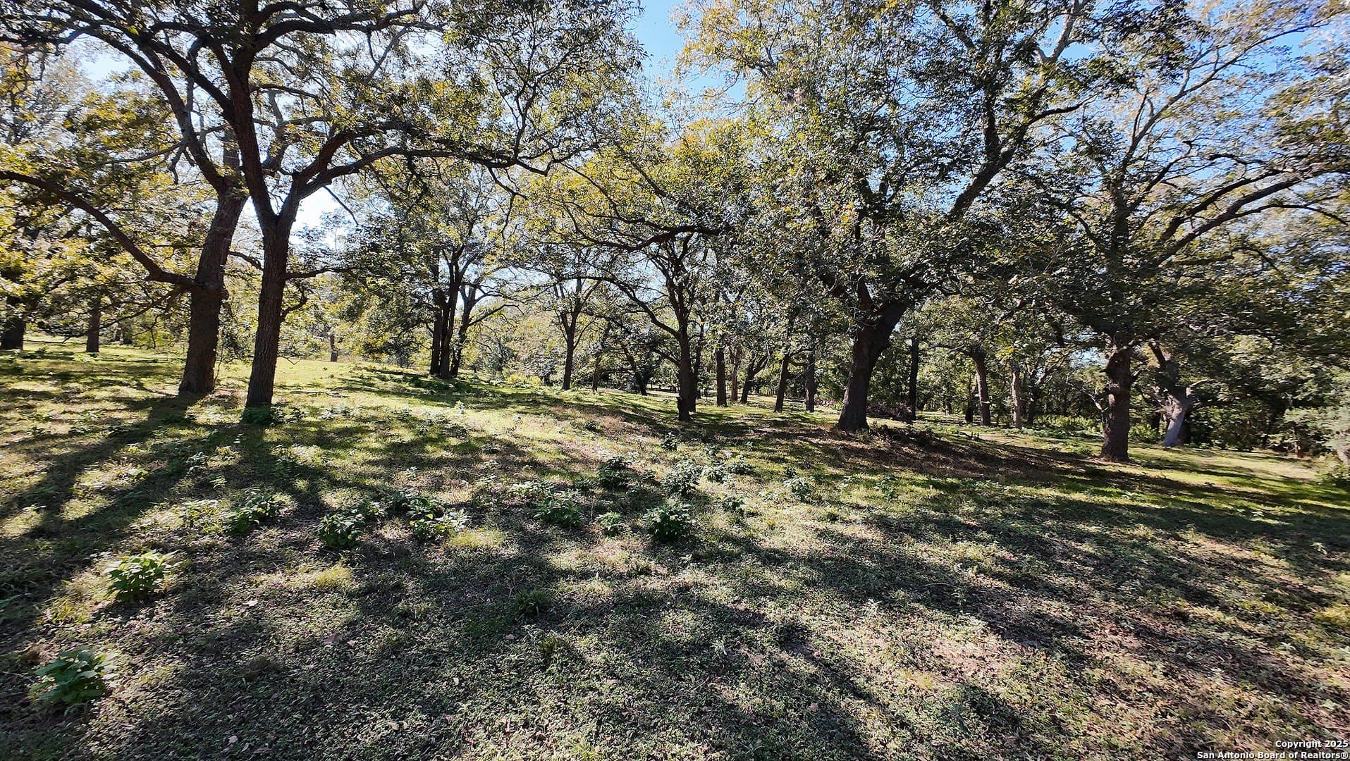 102 acres in Guadalupe County - photo 14
