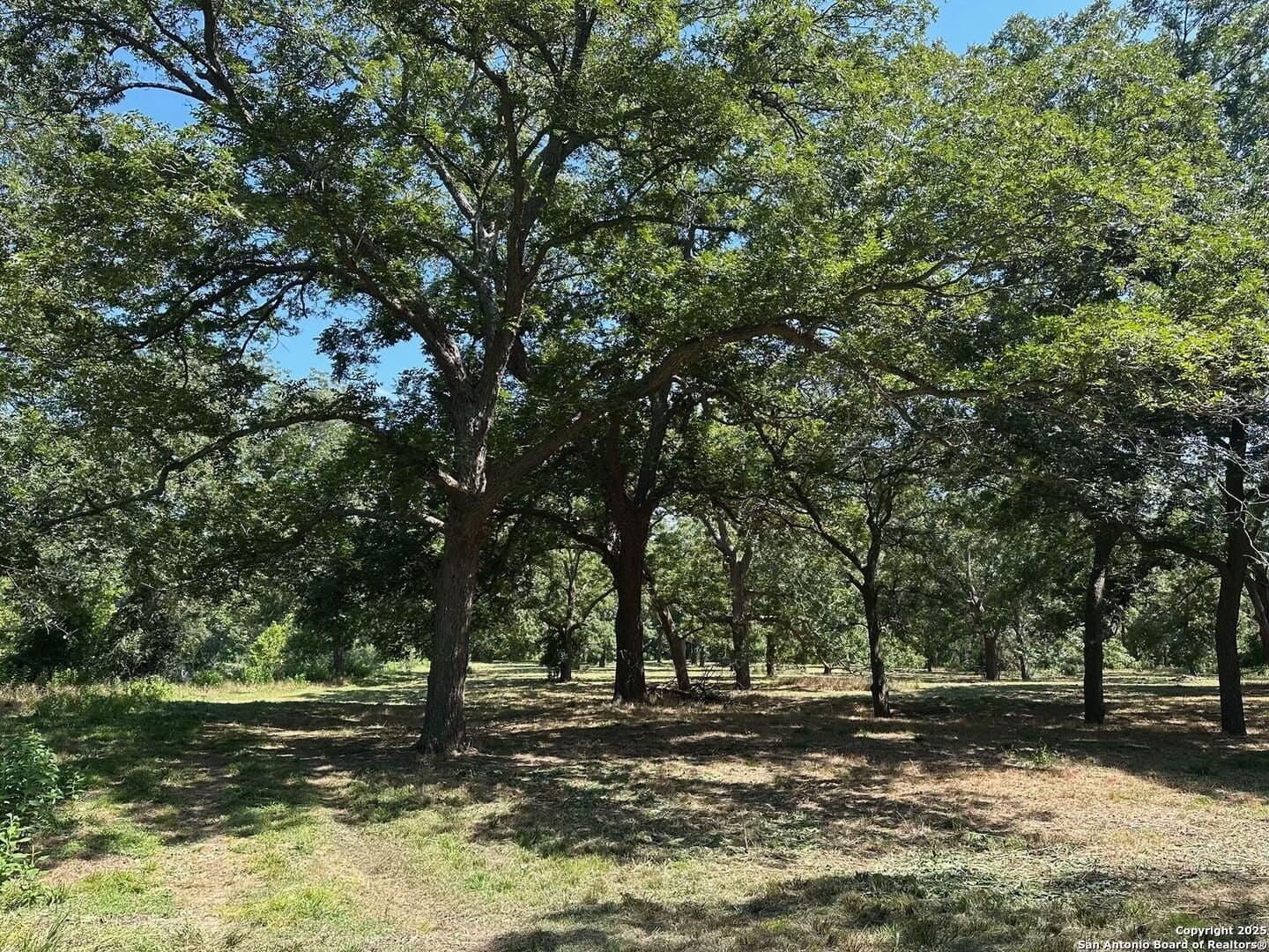 102 acres in Guadalupe County - photo 15