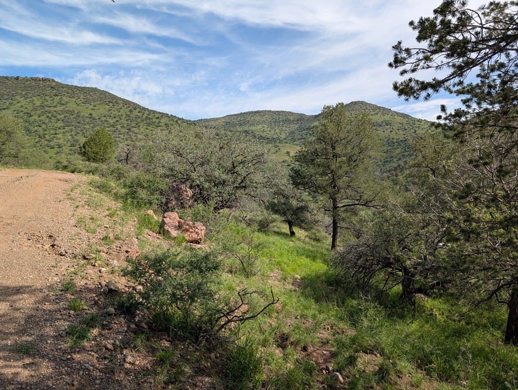 6.15 acres in Jeff Davis County - photo 4