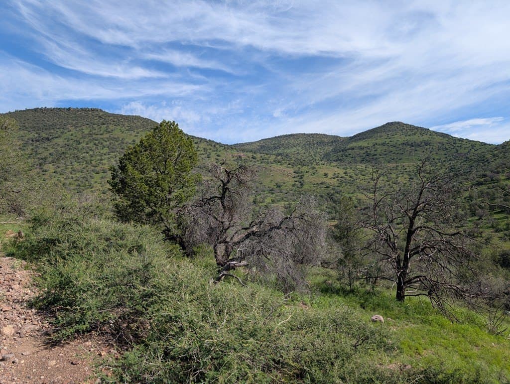 6.15 acres in Jeff Davis County - photo 5