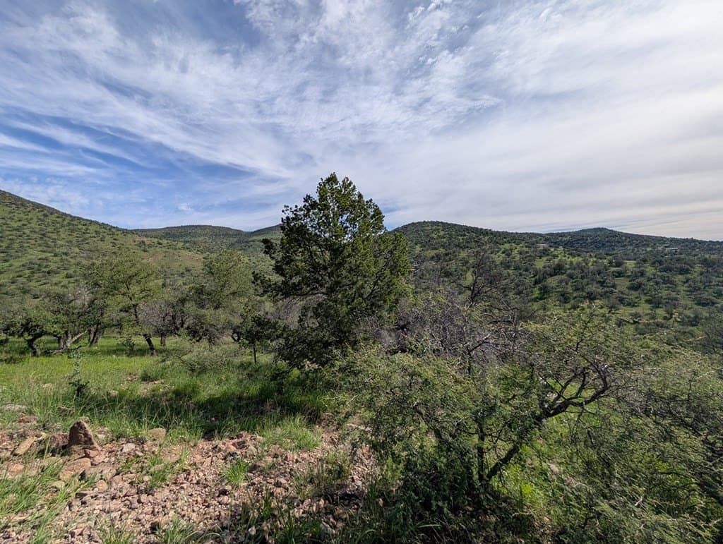 6.15 acres in Jeff Davis County - photo 7