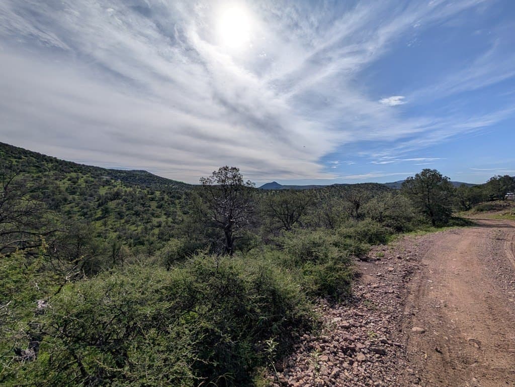 6.15 acres in Jeff Davis County - photo 9