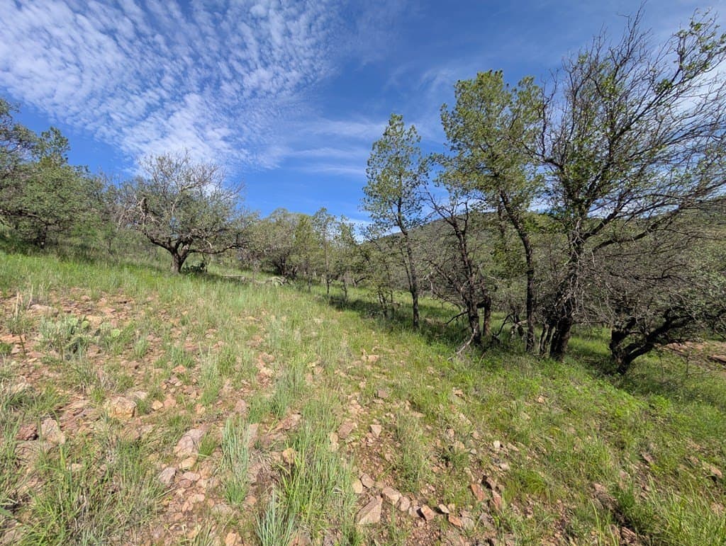 6.15 acres in Jeff Davis County - photo 11