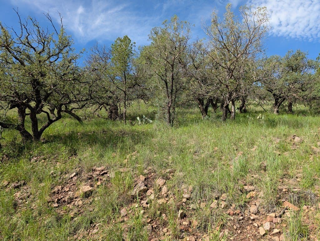 6.15 acres in Jeff Davis County - photo 10
