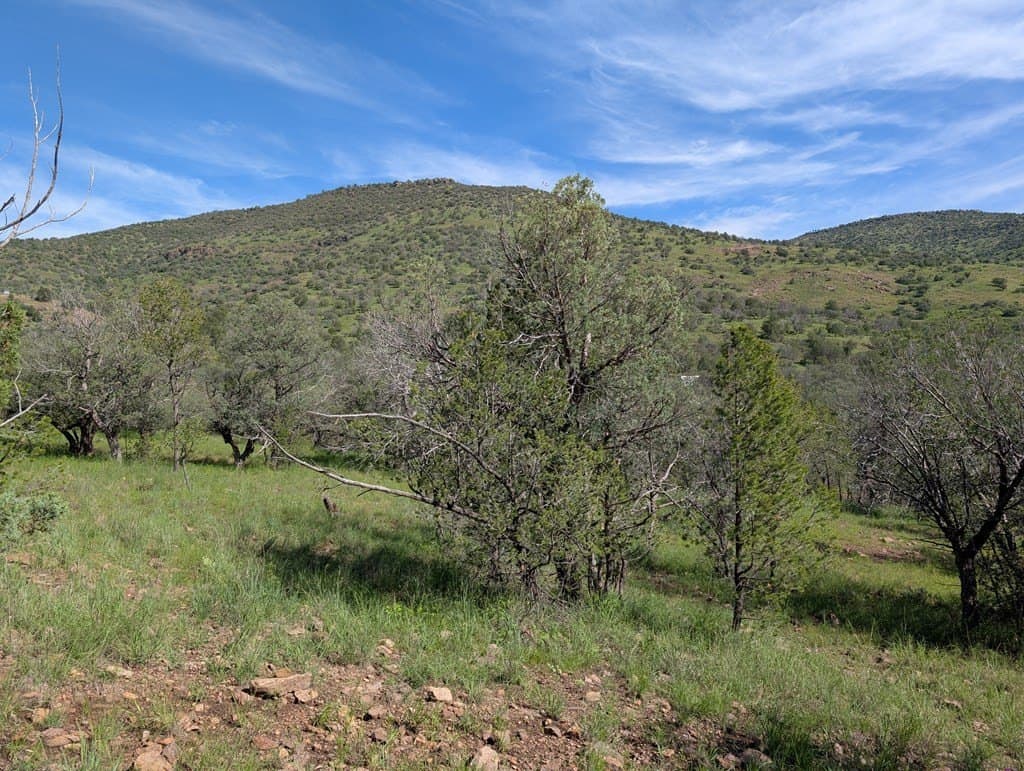 6.15 acres in Jeff Davis County - photo 15