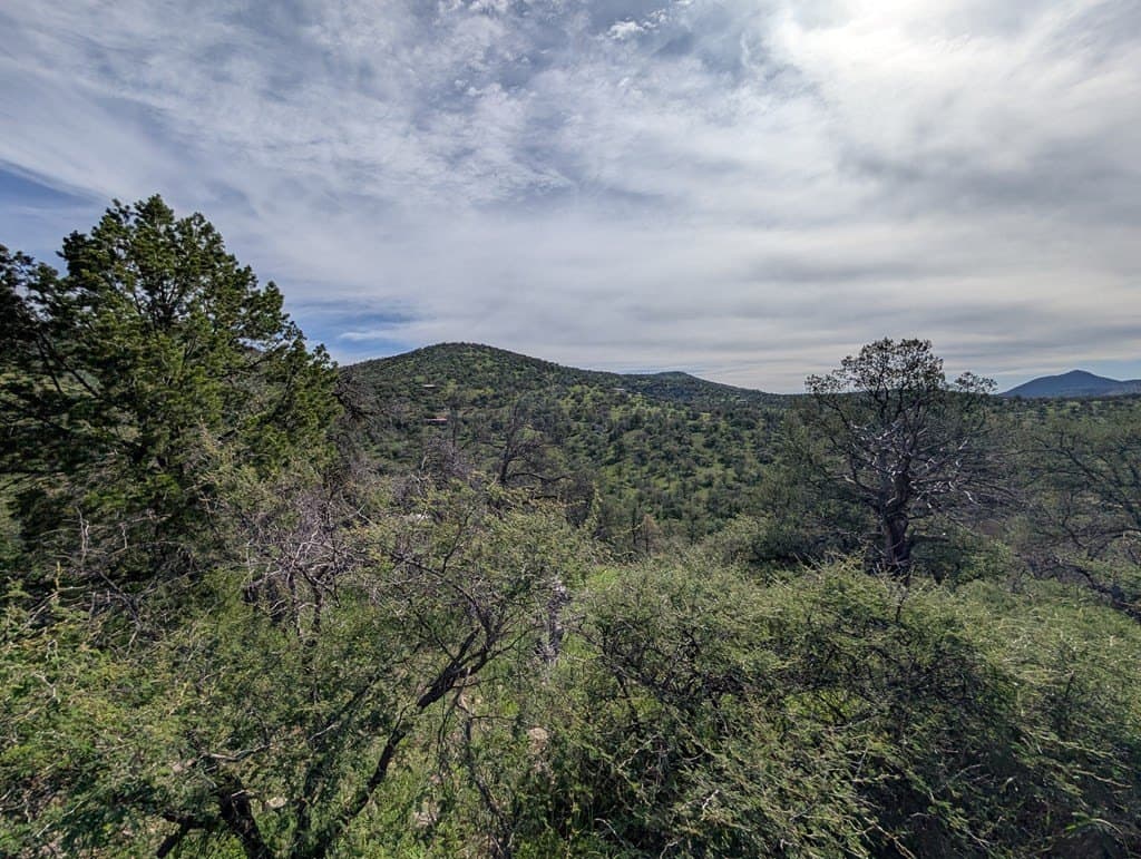 6.15 acres in Jeff Davis County - photo 8