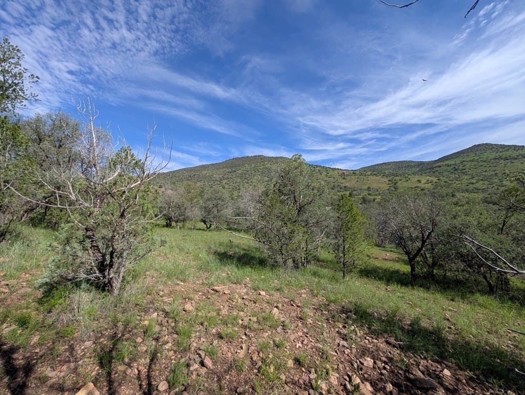 6.15 acres in Jeff Davis County - photo 14