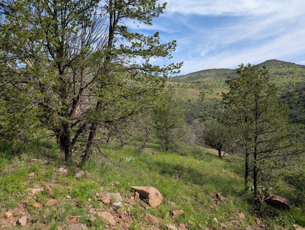 6.15 acres in Jeff Davis County - photo 2