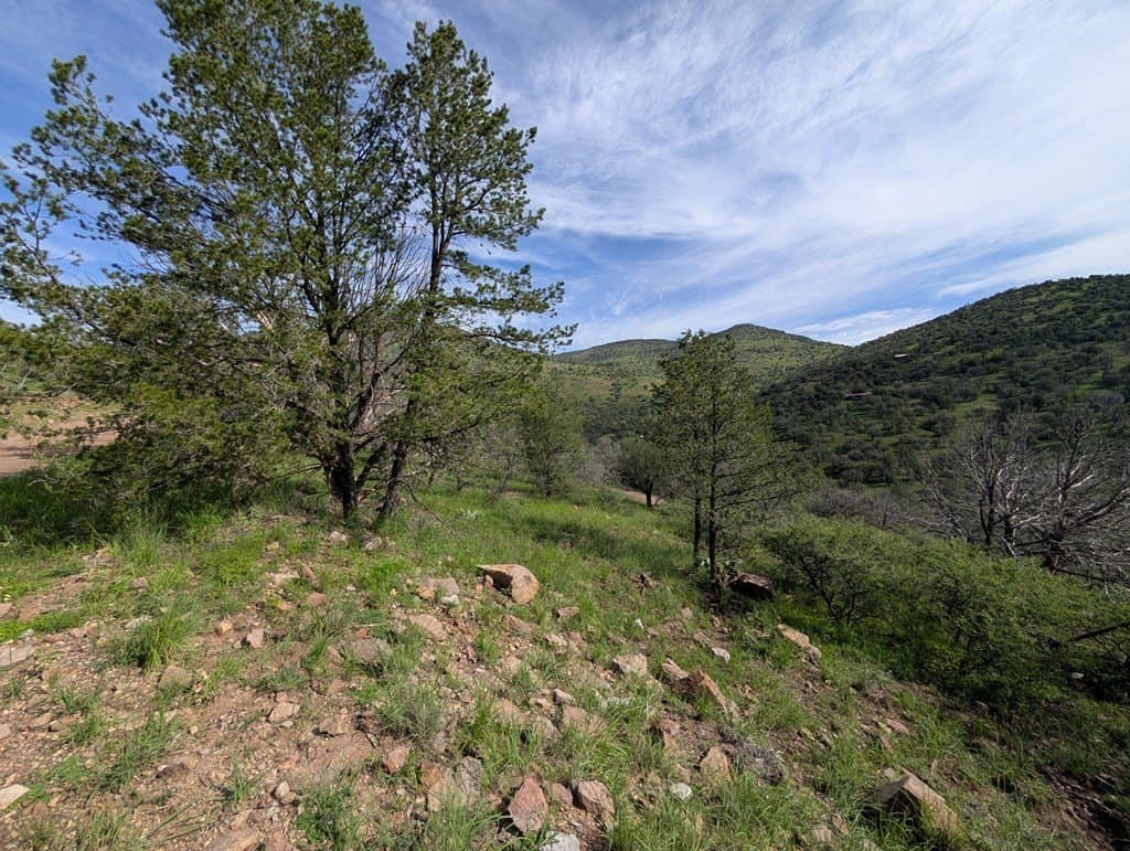 6.15 acres in Jeff Davis County - photo 3
