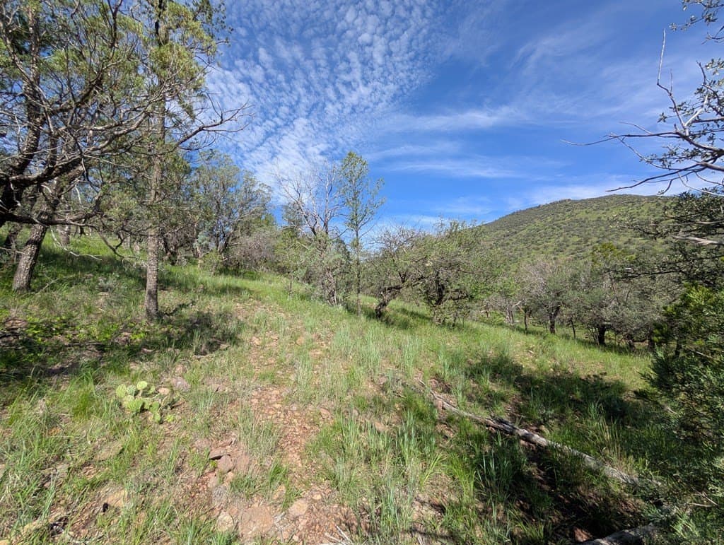 6.15 acres in Jeff Davis County - photo 12