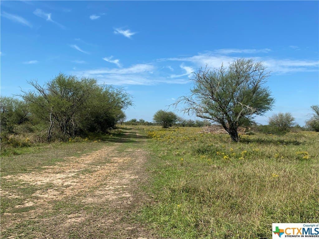76.52 acres in Victoria County - photo 5