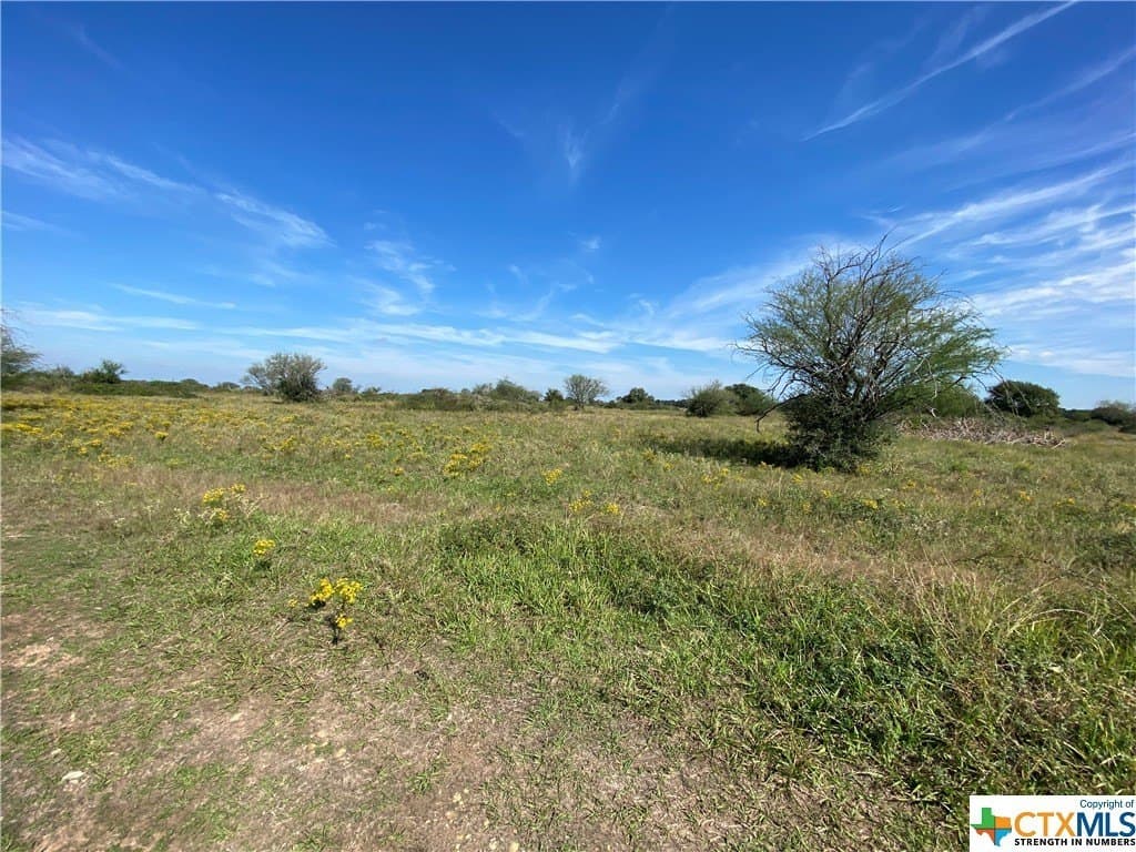 76.52 acres in Victoria County - photo 3