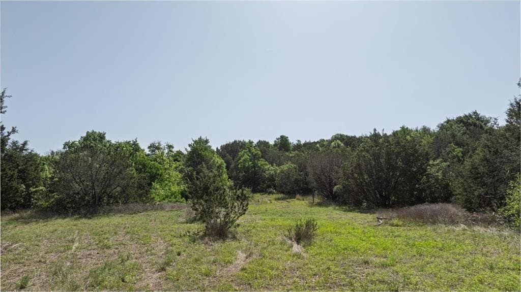 15.19 acres in Erath County - photo 18