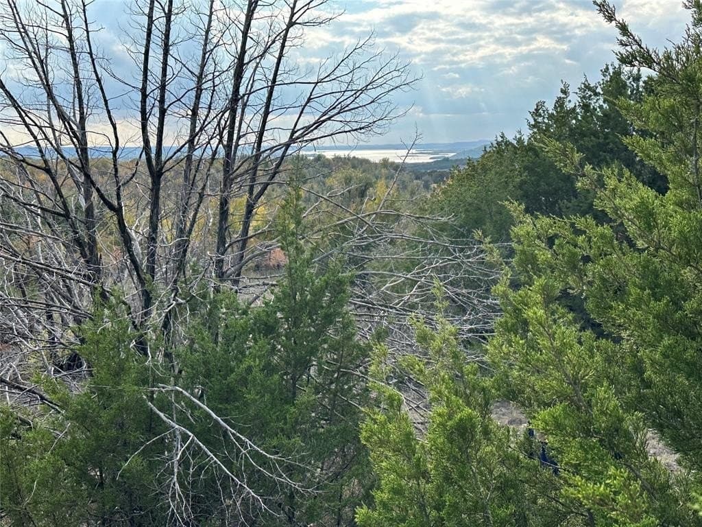 2.01 acres in Palo Pinto County - photo 4