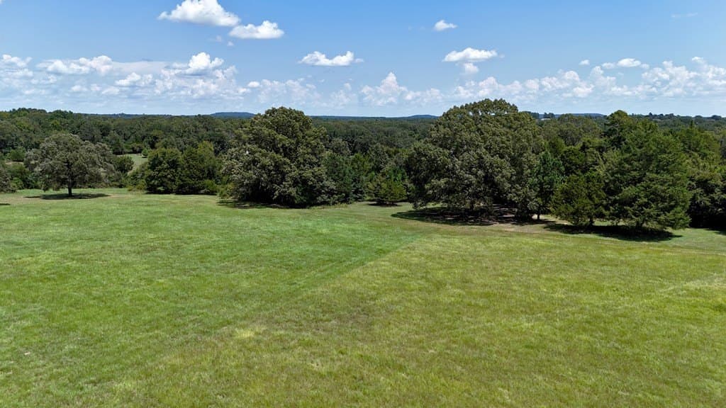 8 acres in Henderson County - photo 4