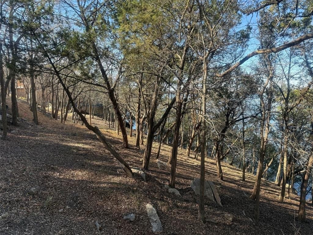 0.34 acres in Hood County - photo 26