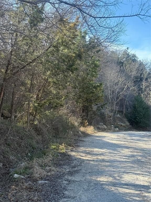 0.34 acres in Hood County - photo 12