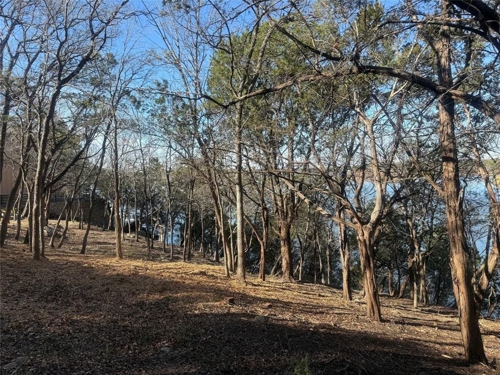0.34 acres in Hood County - photo 24