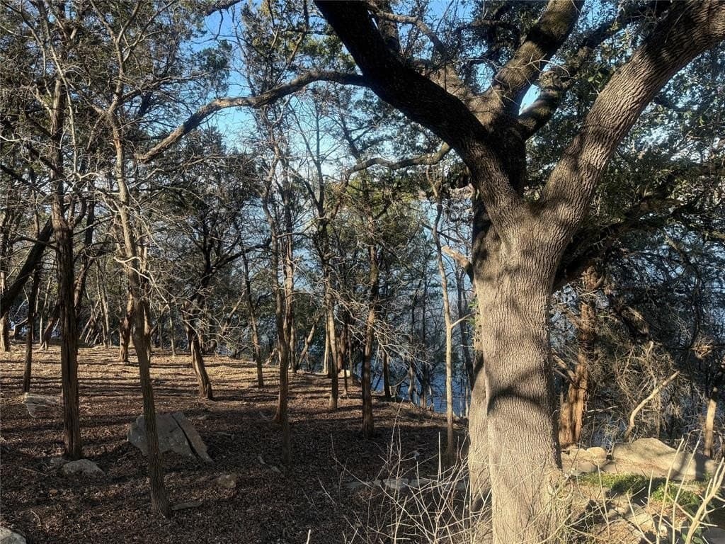 0.34 acres in Hood County - photo 25