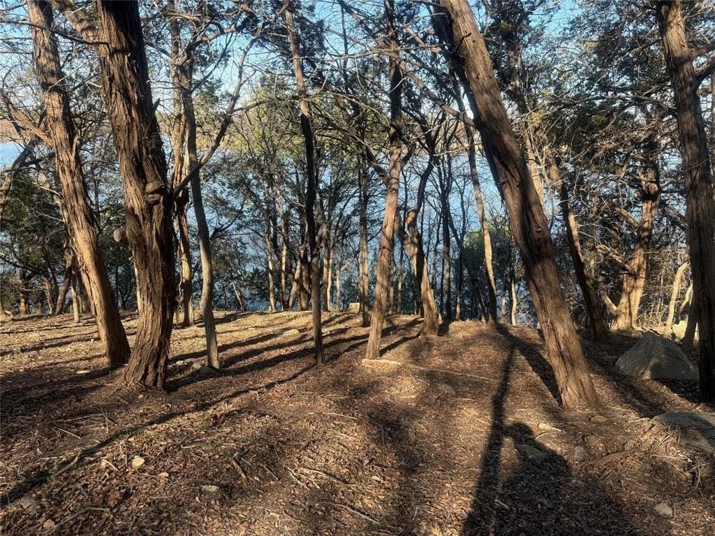 0.34 acres in Hood County - photo 16