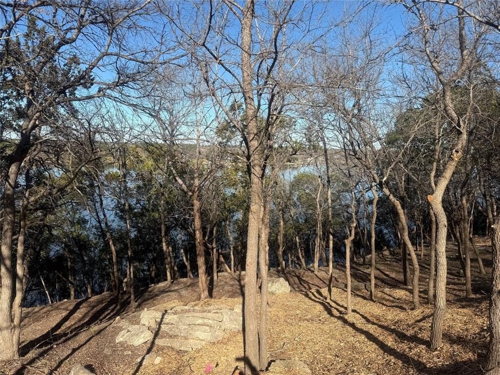 0.34 acres in Hood County - photo 2