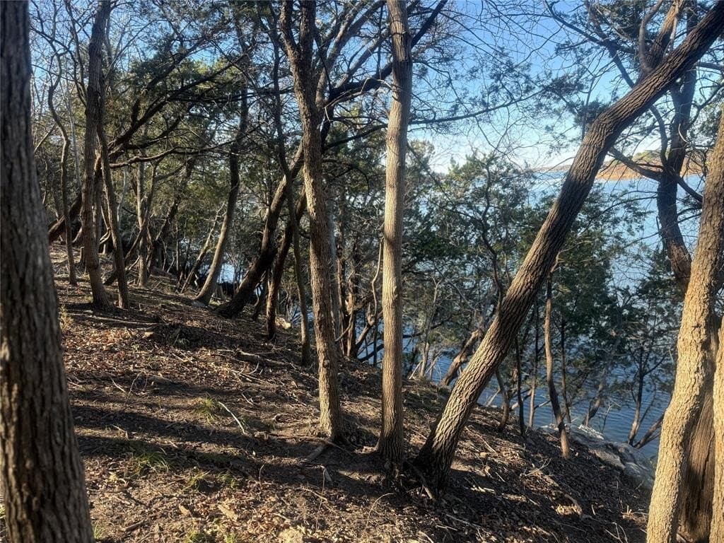 0.34 acres in Hood County - photo 19