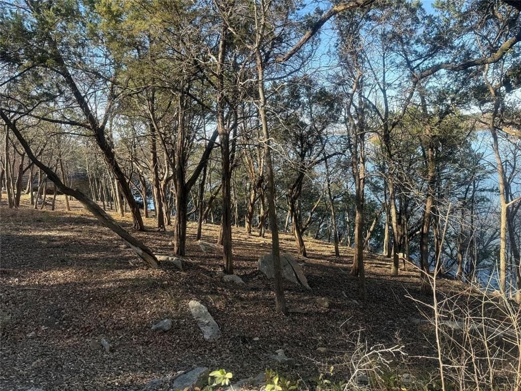 0.34 acres in Hood County - photo 3